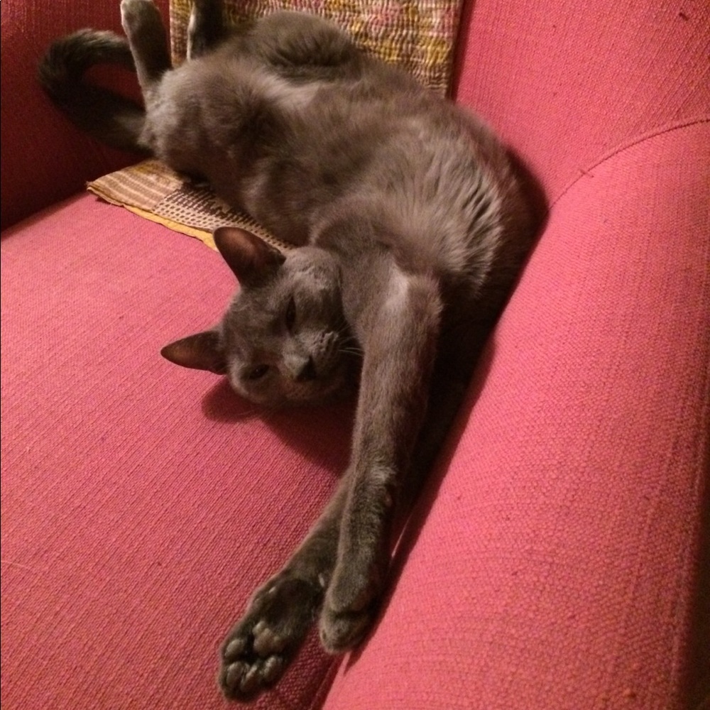 Meet your Posher, Kennedy